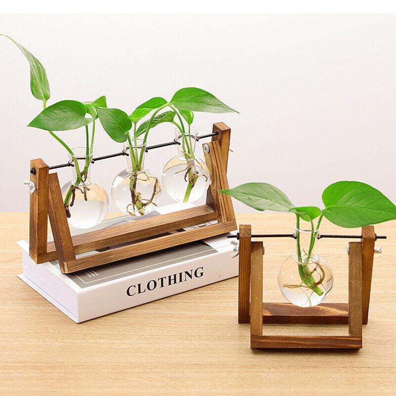 Wooden Frame Glass Vase 1PC 3Sizes Planter Desktop Hydroponics - Discount Packaging Warehouse