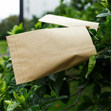 Kraft Paper Seed Envelopes