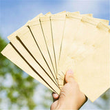 Kraft Paper Seed Envelopes