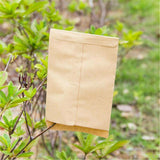 Kraft Paper Seed Envelopes