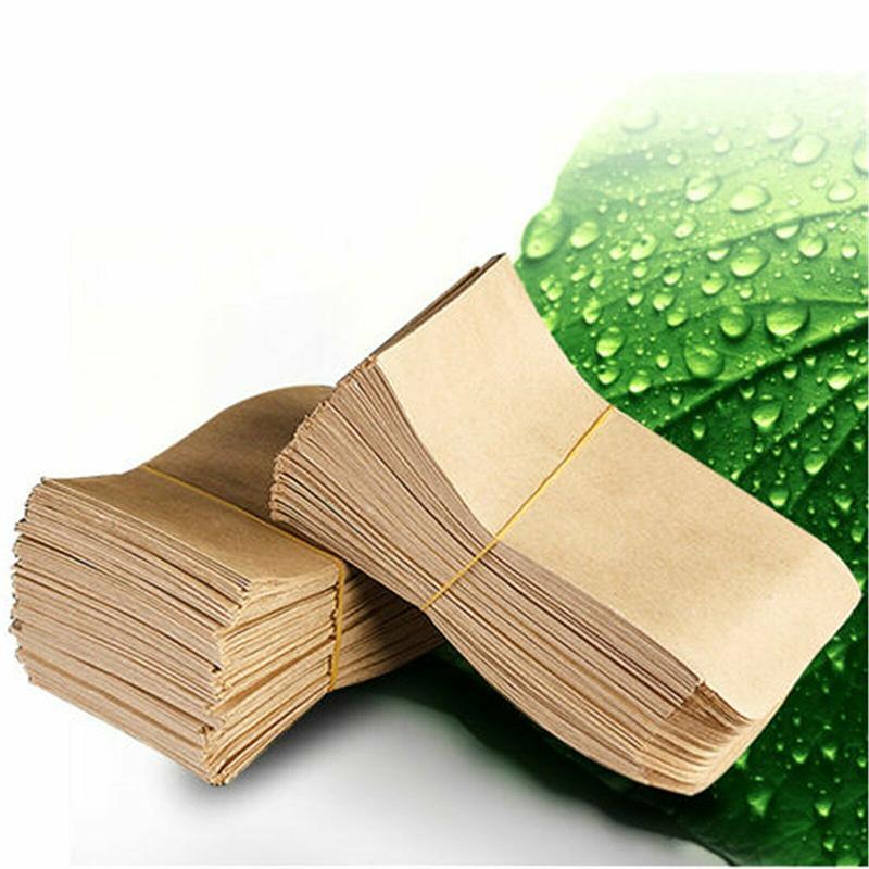 Kraft Paper Seed Envelopes